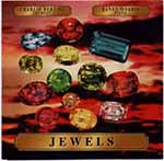 Applesass CD - Charlie Bertini